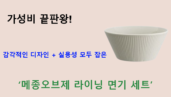 가성비 끝판왕! 감각적인 디자인 + 실용성 모두 잡은 메종오브제 라이닝 면기 세트