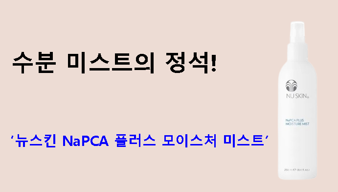 수분 미스트의 정석! 뉴스킨 NaPCA 플러스 모이스처 미스트