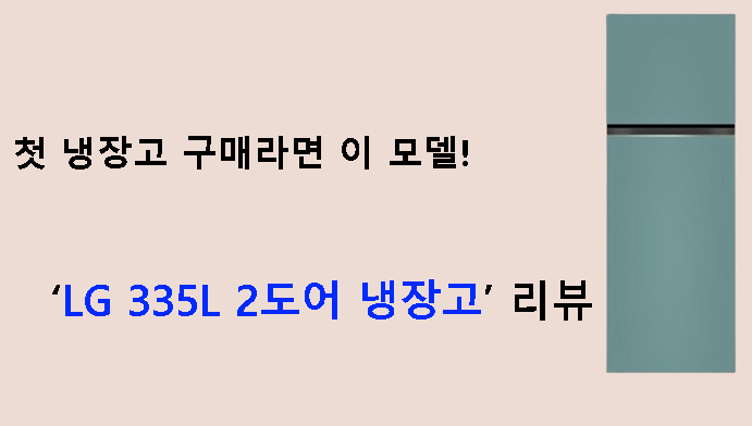첫 냉장고 구매라면 이 모델! LG 335L 2도어 냉장고 리뷰