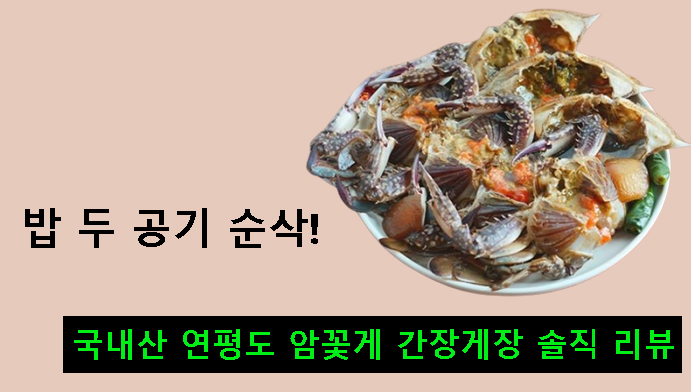 밥 두 공기 순삭! 국내산 연평도 암꽃게 간장게장 솔직 리뷰