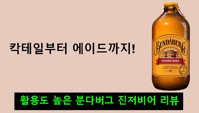 칵테일부터 에이드까지! 활용도 높은 분다버그 진저비어 리뷰