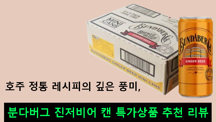 호주 정통 레시피의 깊은 풍미, 분다버그 진저비어 캔 특가상품 추천 리뷰