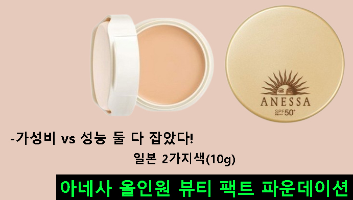 아네사 올인원 뷰티 팩트 파운데이션 10g 일본 2가지색-가성비 vs 성능 둘 다 잡았다!