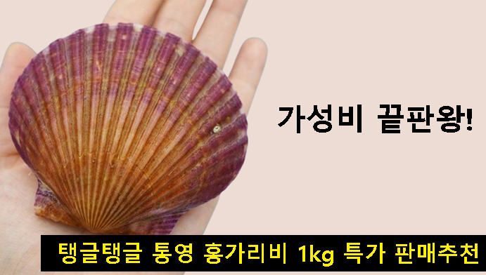 가성비 끝판왕! 탱글탱글 통영 홍가리비 1kg 특가 판매추천