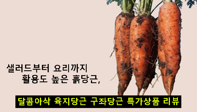 샐러드부터 요리까지 활용도 높은 흙당근, 달콤아삭 육지당근 구좌당근 특가상품 리뷰