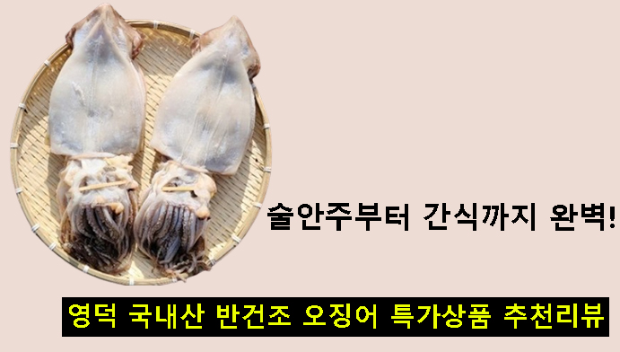 술안주부터 간식까지 완벽! 영덕 국내산 반건조 오징어 특가상품 추천리뷰