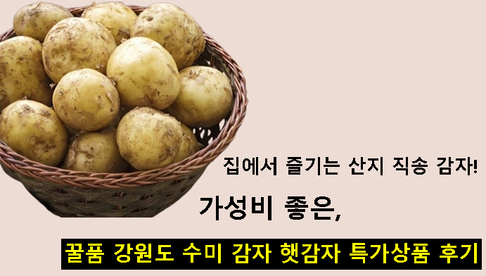 집에서 즐기는 산지 직송 감자! 가성비 좋은 꿀품 강원도 수미 감자 햇감자 특가상품 후기