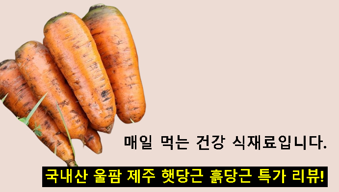 국내산 울팜 제주 햇당근 흙당근 특가 리뷰! 매일 먹는 건강 식재료입니다.