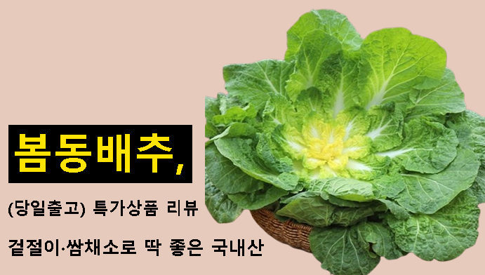 봄동배추, 겉절이·쌈채소로 딱 좋은 국내산(당일출고) 특가상품 리뷰