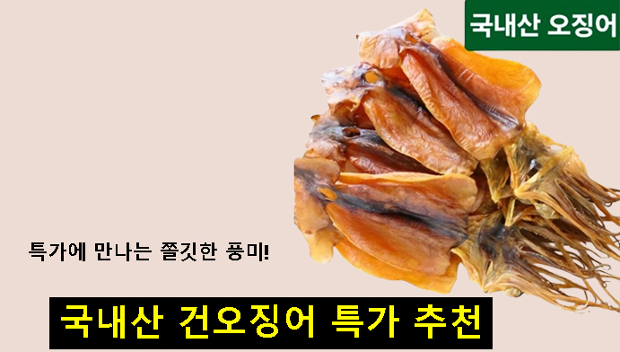 특가에 만나는 쫄깃한 풍미! 국내산 건오징어 특가 추천