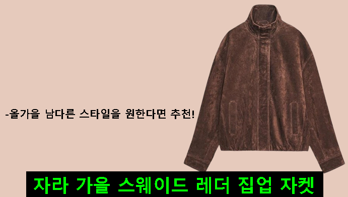 자라 가을 스웨이드 레더 집업 자켓-올가을 남다른 스타일을 원한다면 추천!