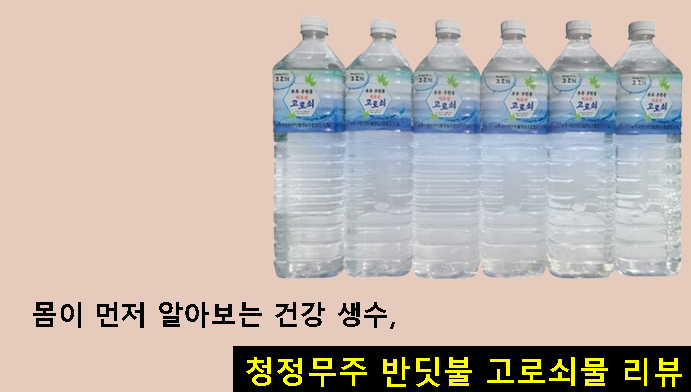 몸이 먼저 알아보는 건강 생수, 청정무주 반딧불 고로쇠물 리뷰