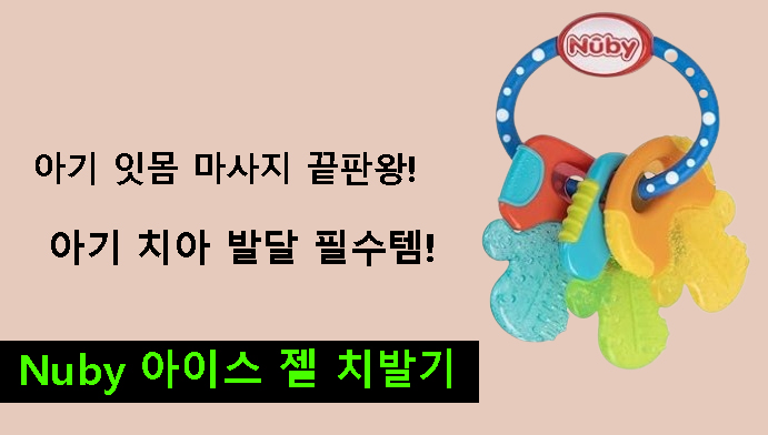 아기 잇몸 마사지 끝판왕!아기 치아 발달 필수템! Nuby 아이스 젤 치발기