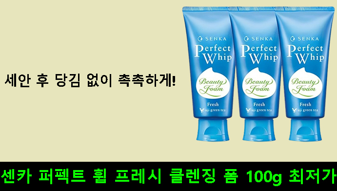 세안 후 당김 없이 촉촉하게! 센카 퍼펙트 휩 프레시 클렌징 폼 100g 최저가 후기