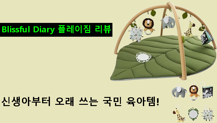 신생아부터 오래 쓰는 국민 육아템! Blissful Diary 플레이짐 리뷰