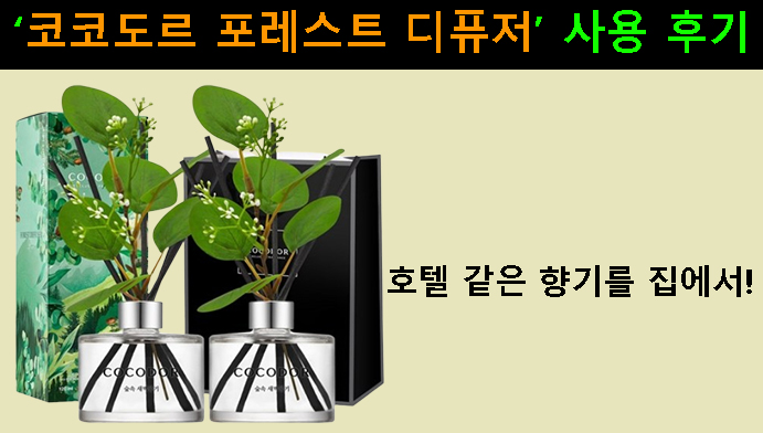 호텔 같은 향기를 집에서! 코코도르 포레스트 디퓨저 사용 후기