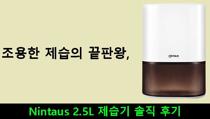 조용한 제습의 끝판왕, Nintaus 2.5L 제습기 솔직 후기