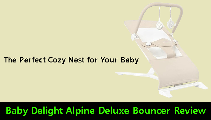 The Perfect Cozy Nest for Your Baby – Baby Delight Alpine Deluxe Bouncer Review