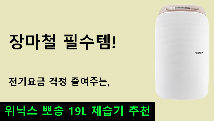 장마철 필수템! 전기요금 걱정 줄여주는 위닉스 뽀송 19L 제습기 추천