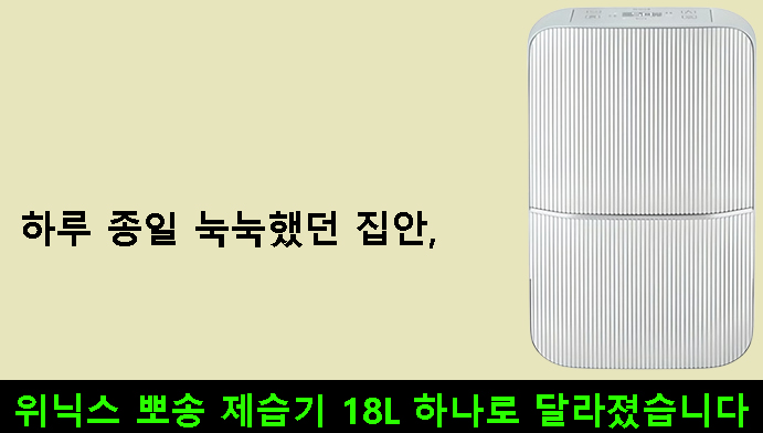 하루 종일 눅눅했던 집안, 위닉스 뽀송 제습기 18L 하나로 달라졌습니다