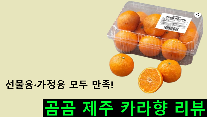 선물용·가정용 모두 만족! 곰곰 제주 카라향 리뷰