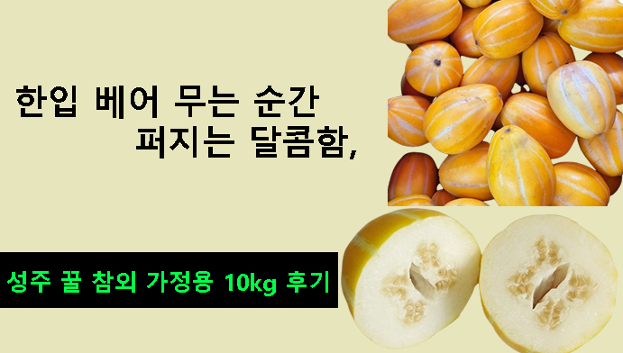 한입 베어 무는 순간 퍼지는 달콤함, 성주 꿀 참외 가정용 10kg 후기