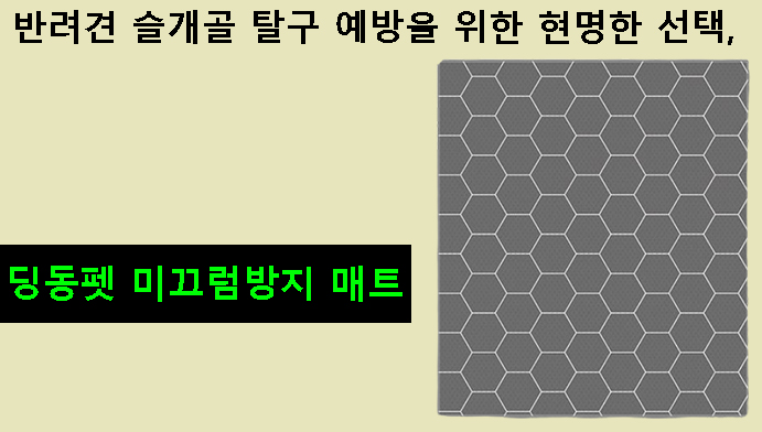반려견 슬개골 탈구 예방을 위한 현명한 선택, 딩동펫 미끄럼방지 매트