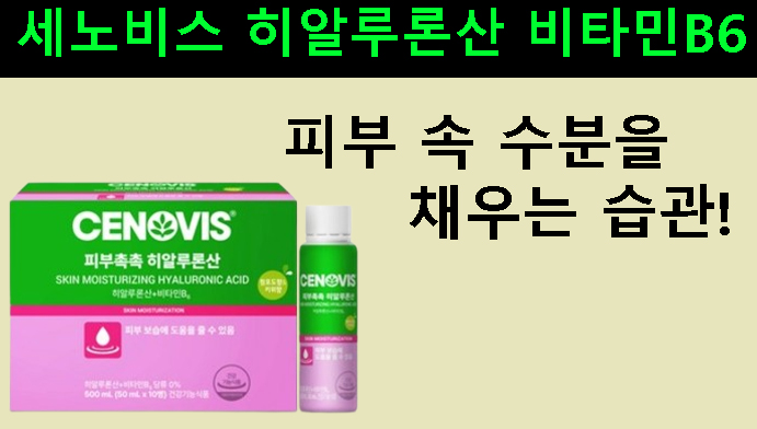 피부 속 수분을 채우는 습관! 세노비스 히알루론산 비타민B6 후기