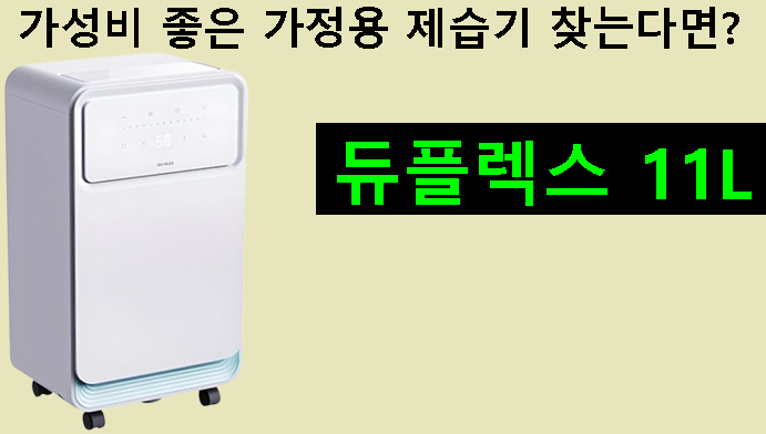 가성비 좋은 가정용 제습기 찾는다면? 듀플렉스 11L 추천