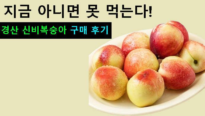지금 아니면 못 먹는다! 경산 신비복숭아 구매 후기