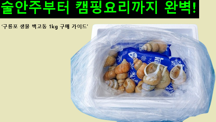 술안주부터 캠핑요리까지 완벽! 구룡포 생물 백고동 1kg 구매 가이드