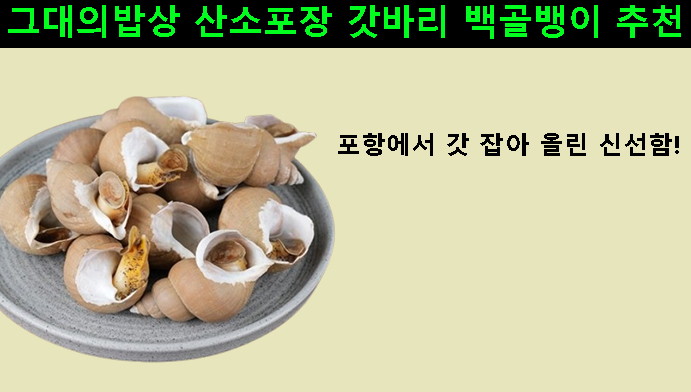 포항에서 갓 잡아 올린 신선함! 그대의밥상 산소포장 갓바리 백골뱅이 추천