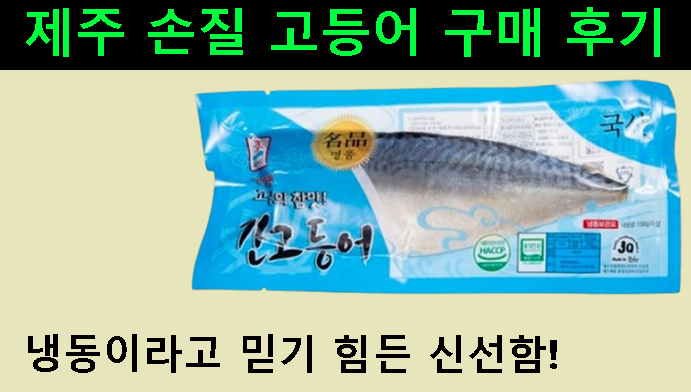 냉동이라고 믿기 힘든 신선함! 제주 손질 고등어 구매 후기 및 추천