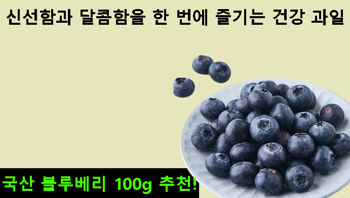 국산 블루베리 100g 추천! 신선함과 달콤함을 한 번에 즐기는 건강 과일