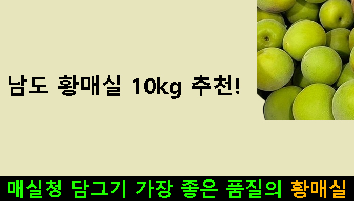 남도 황매실 10kg 추천! 매실청 담그기 가장 좋은 품질의 황매실