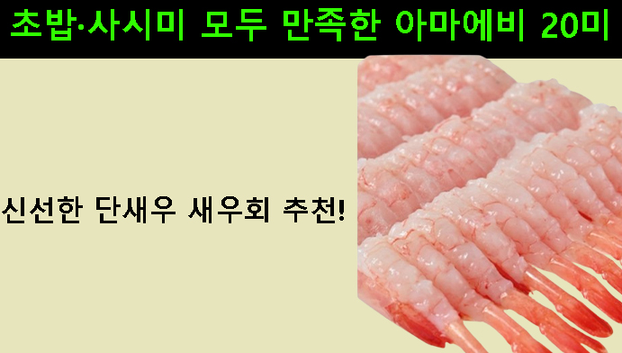 신선한 단새우 새우회 추천! 초밥·사시미 모두 만족한 아마에비 20미