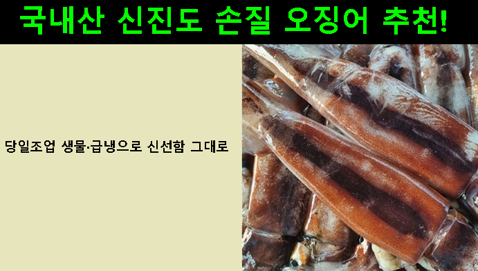 국내산 신진도 손질 오징어 추천! 당일조업 생물·급냉으로 신선함 그대로