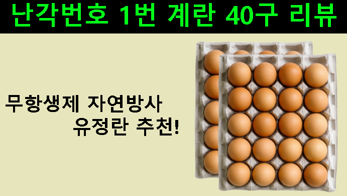 무항생제 자연방사 유정란 추천! 난각번호 1번 계란 40구 리뷰