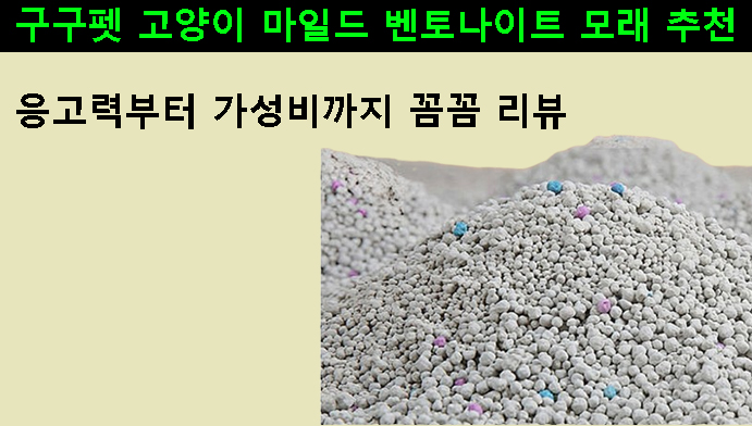 구구펫 고양이 마일드 벤토나이트 모래 추천｜응고력부터 가성비까지 꼼꼼 리뷰